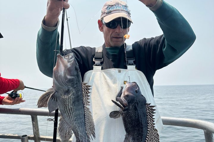 a person standing next to a body of water