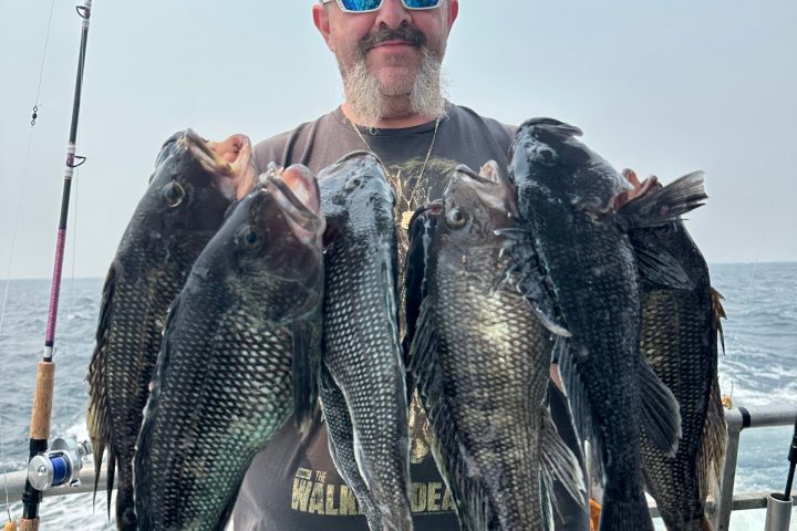 a man holding a fish