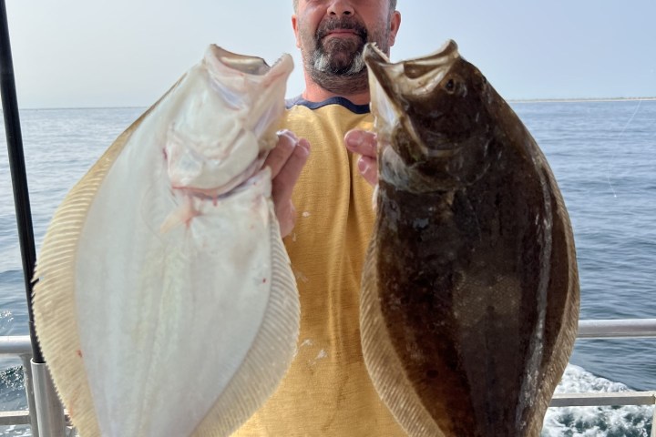 a man holding a fish in the water