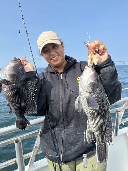 Sea bass Fishing Brielle, NJ