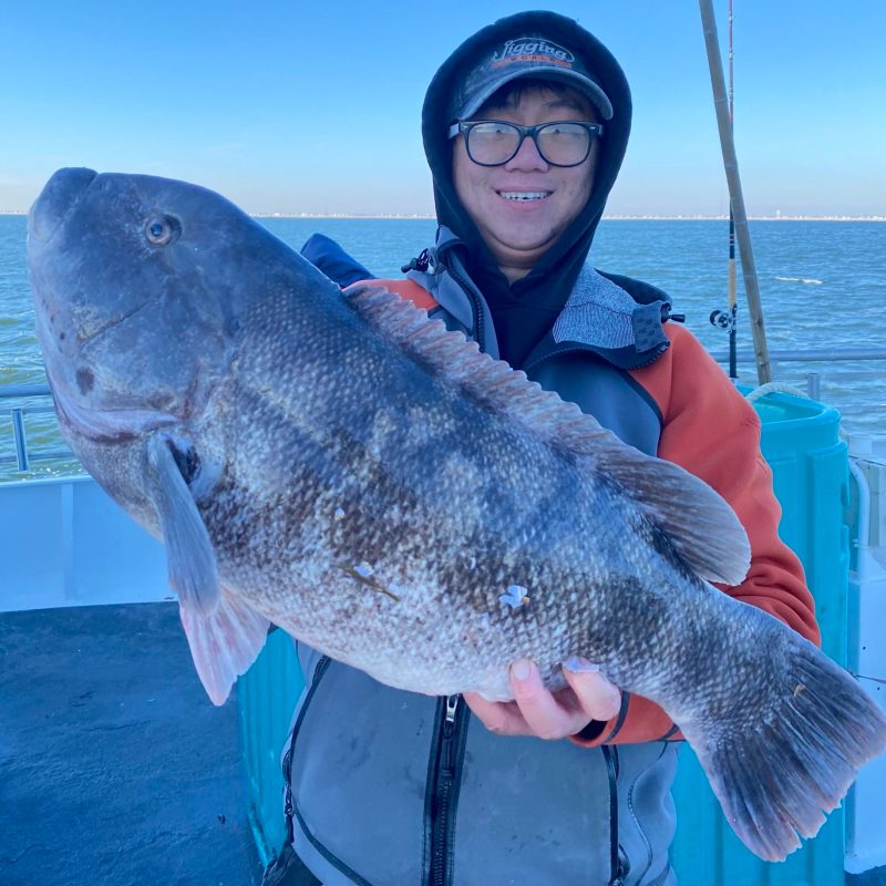 a person holding a fish in the water